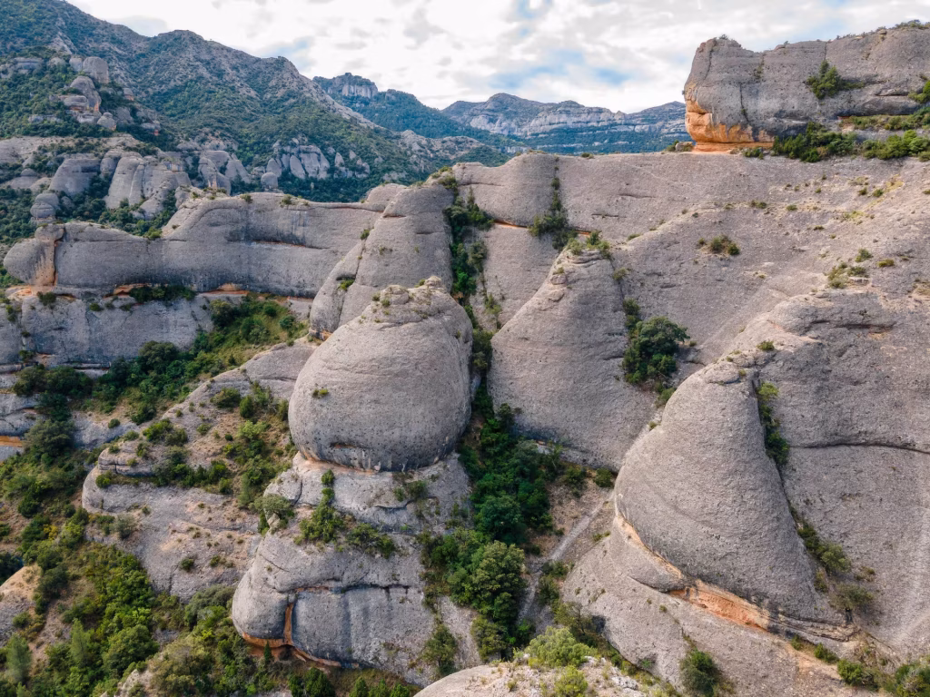 Asesoramiento en Derecho Laboral
